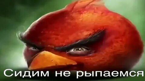 Пердим не сыпаемся