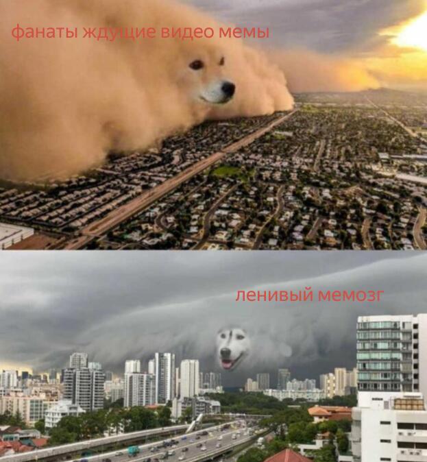 реальность