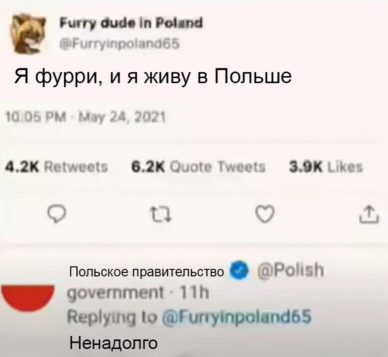 Мем от Истинный Анти Фурри