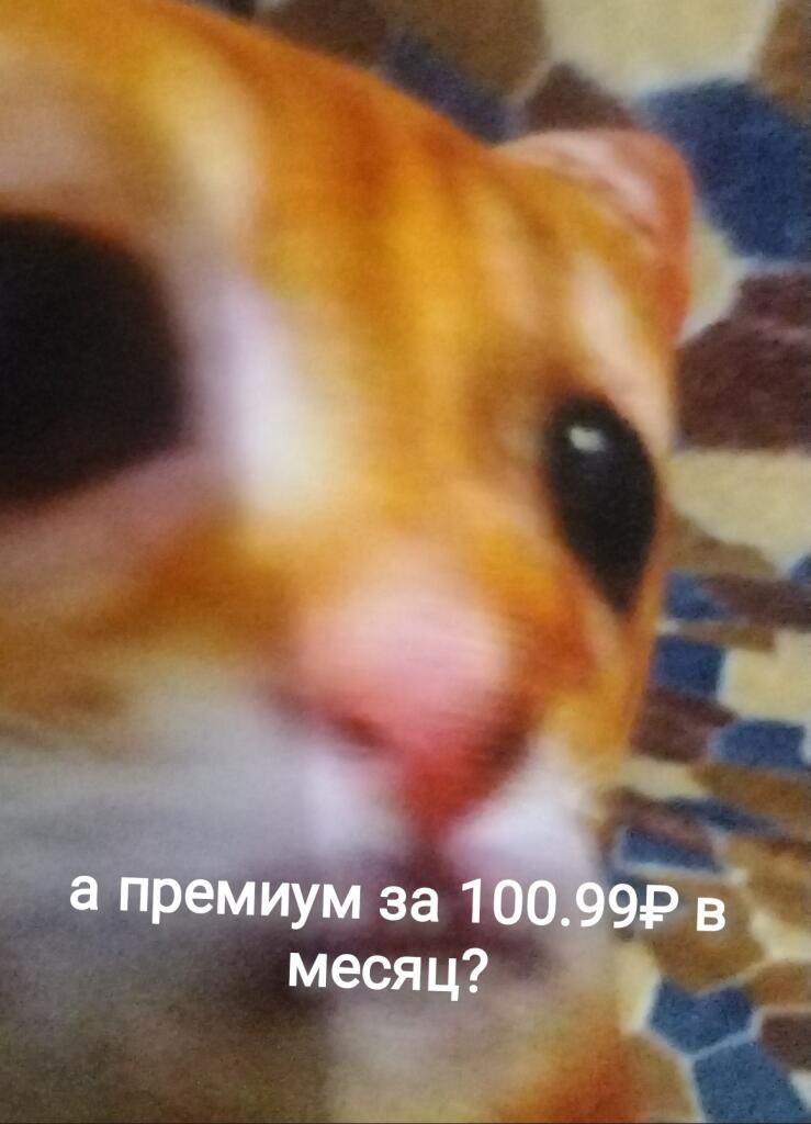 Я: играю в игру и вижу крутой скин и хочу купить Игра: