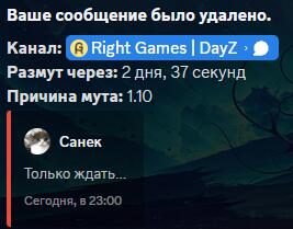 Впервые написал в чат, как вдруг...