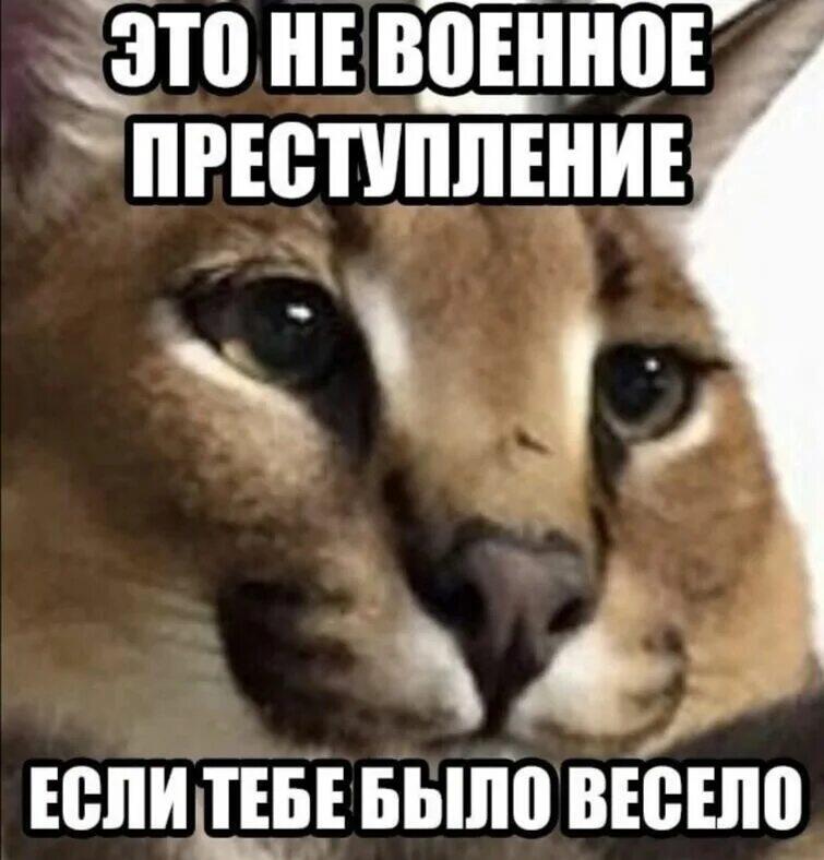 Просто шлëпа