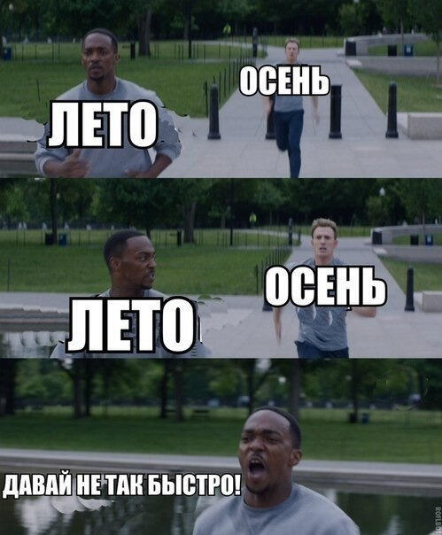 лето это Соник