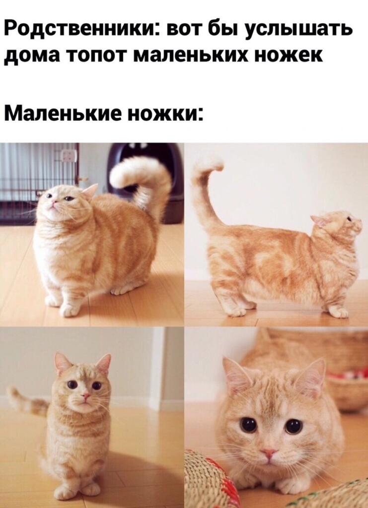 Бывают же такие родственники...