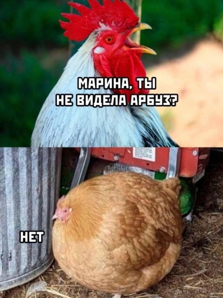 Мем от Veer