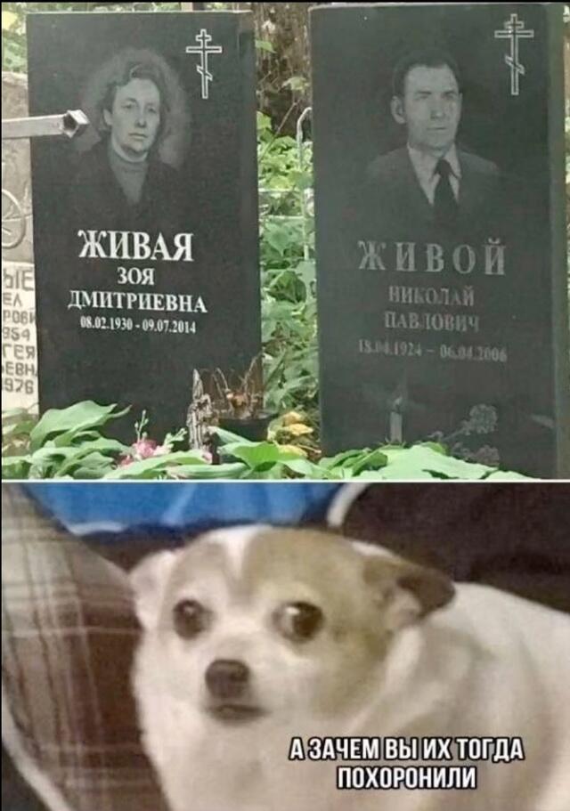 Мем без подписи