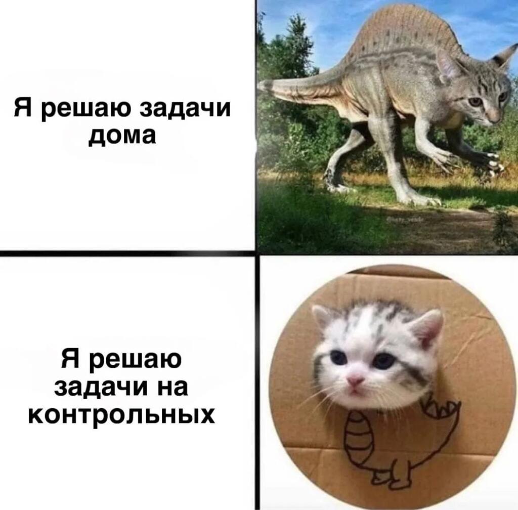 Мем без подписи