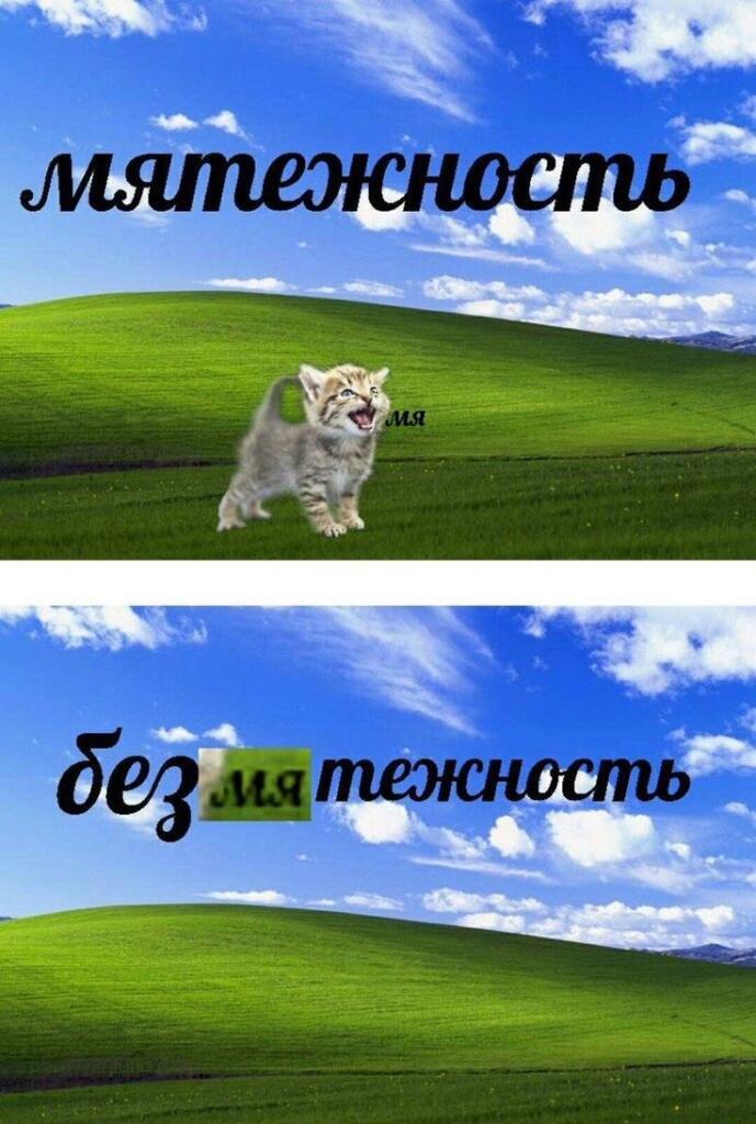 Котенок кричит МЯ на фоне обоев Windows XP, надпись мятежность. Ниже безмятежность с вырезанным куском слова
