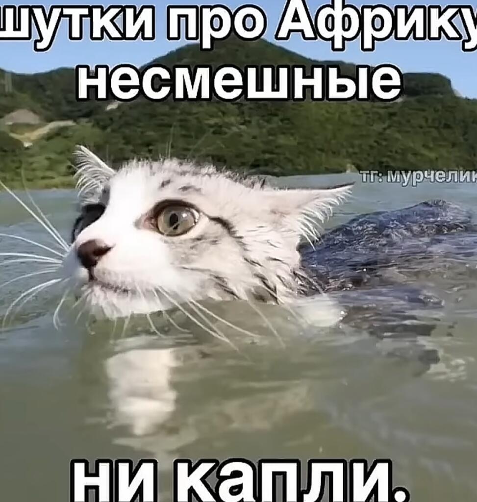 Мем без подписи
