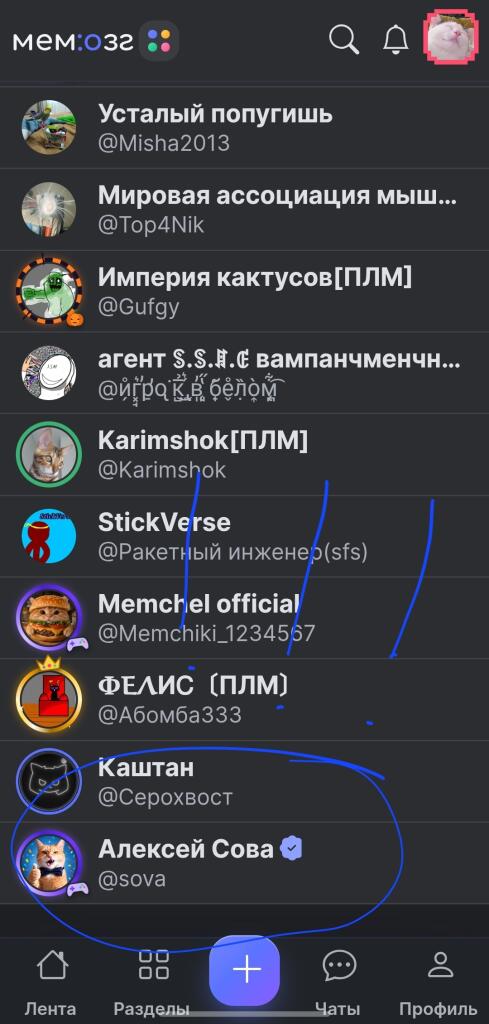 У МЕНЯ ПОЛУЧИЛОСЬ! СПУСТЯ ПОЧТИ МЕСЯЦ!!!!