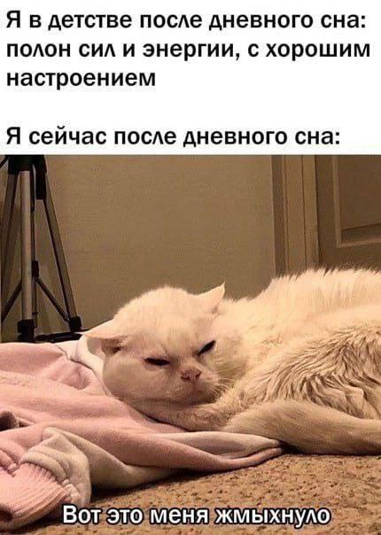 Белый кот лежит на кровати с недовольной мордой, текст сверху сравнивает бодрость в детстве и сейчас, внизу подпись «Вот это меня жмыхнуло