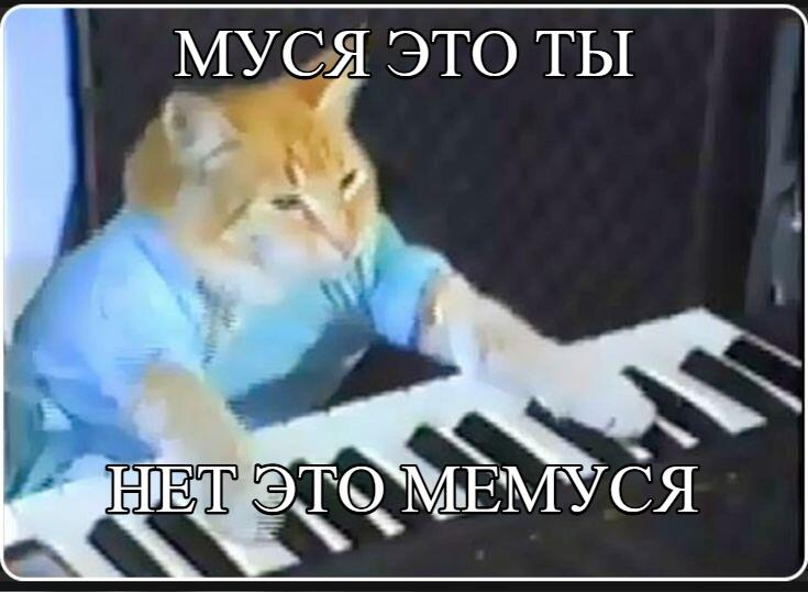 Мем от Mish0k [ПЛМ]