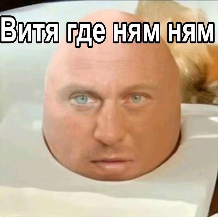 Никто: Абсолютно никто: Мой кот в 6 утра: