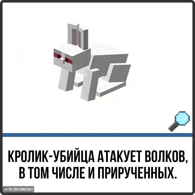 Кролик-убийца из Minecraft на белом фоне, с подписью о том, что он атакует волков
