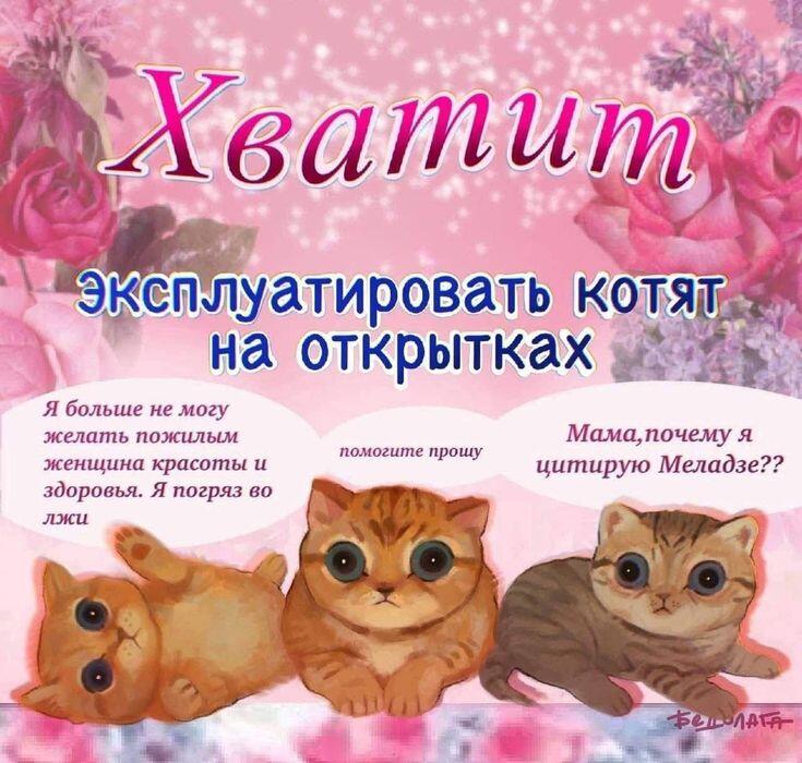 Мем от 🌸💥|цвяточный ад {ПЛМ}