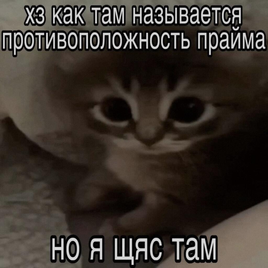 Мем от Verty56