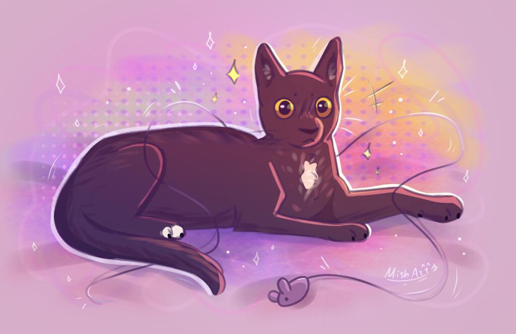 Моя кошечка Буся (=^・ω・^=)