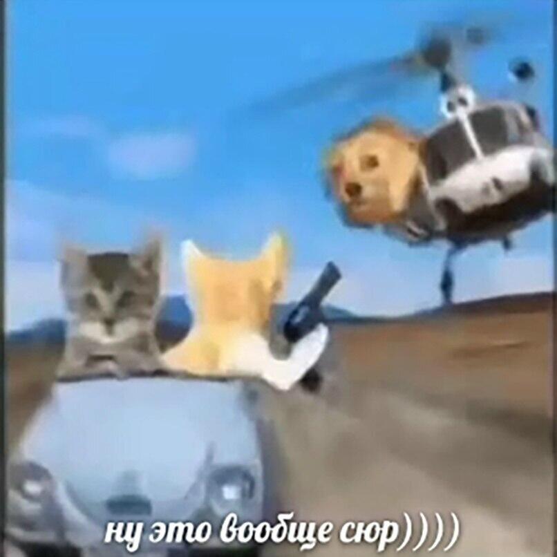 Мем от Просто тигр [ПЛМ]