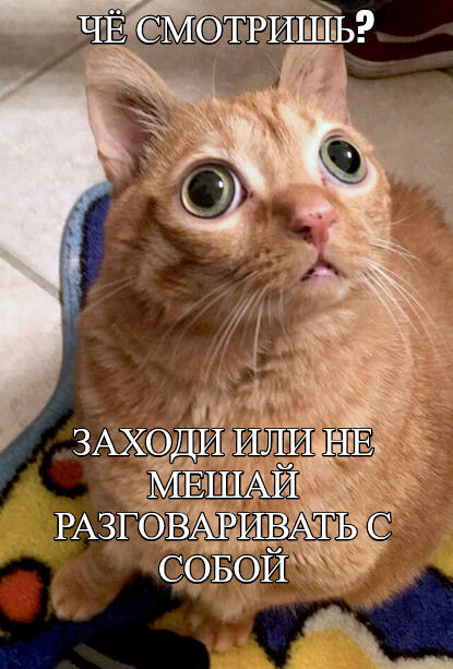 Мем без подписи
