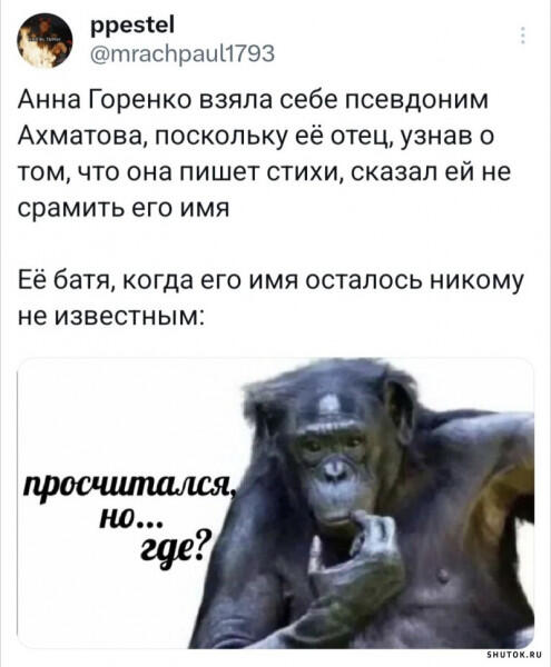 Шимпанзе задумчиво смотрит в камеру с надписью просчитался но где под скриншотом твита о псевдониме Ахматовой