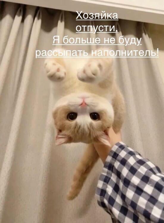 Мем от Roman2024