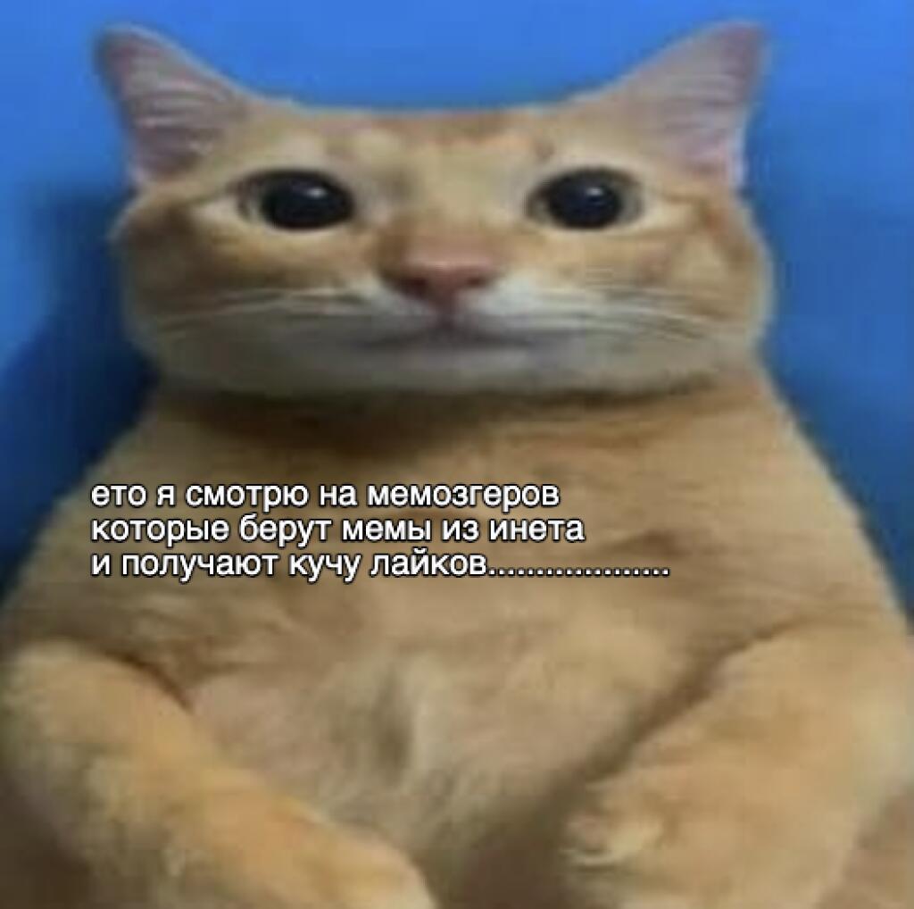 я жива