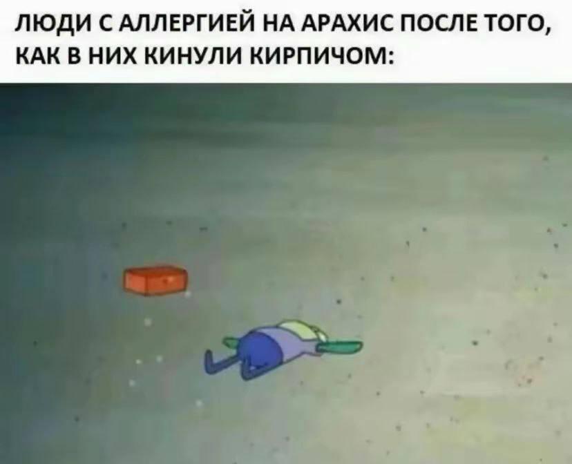 Кирпичей у меня много, и алергиков тоже)