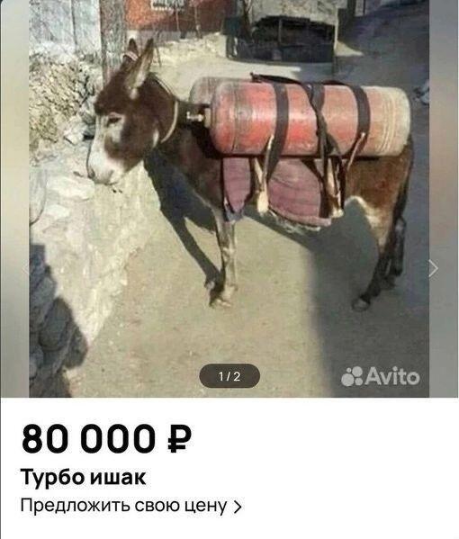 Мем от Vasa_v0dila_lubit_pivo