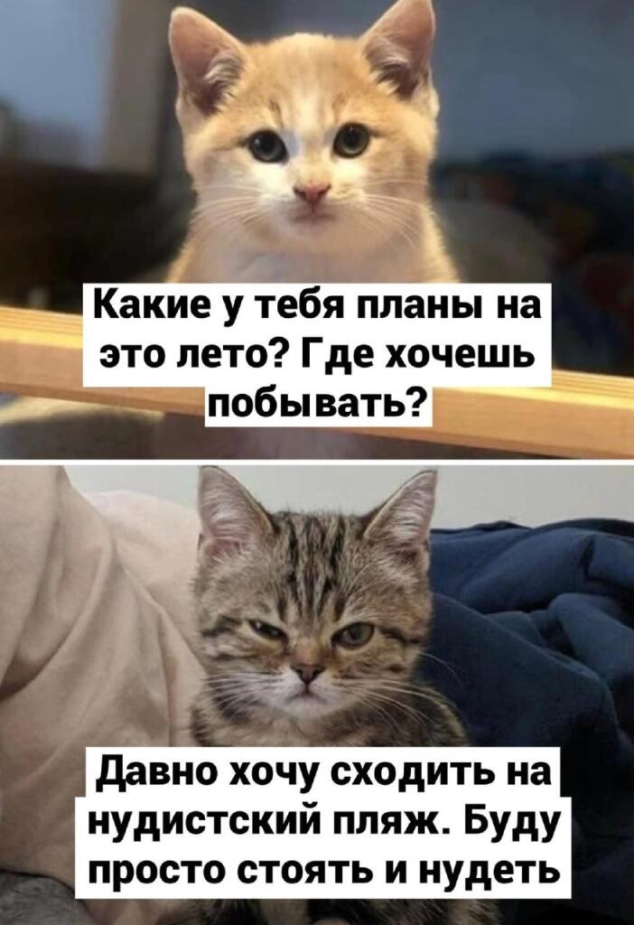 Не, ну на такой нудистский пляж я бы сходил!
