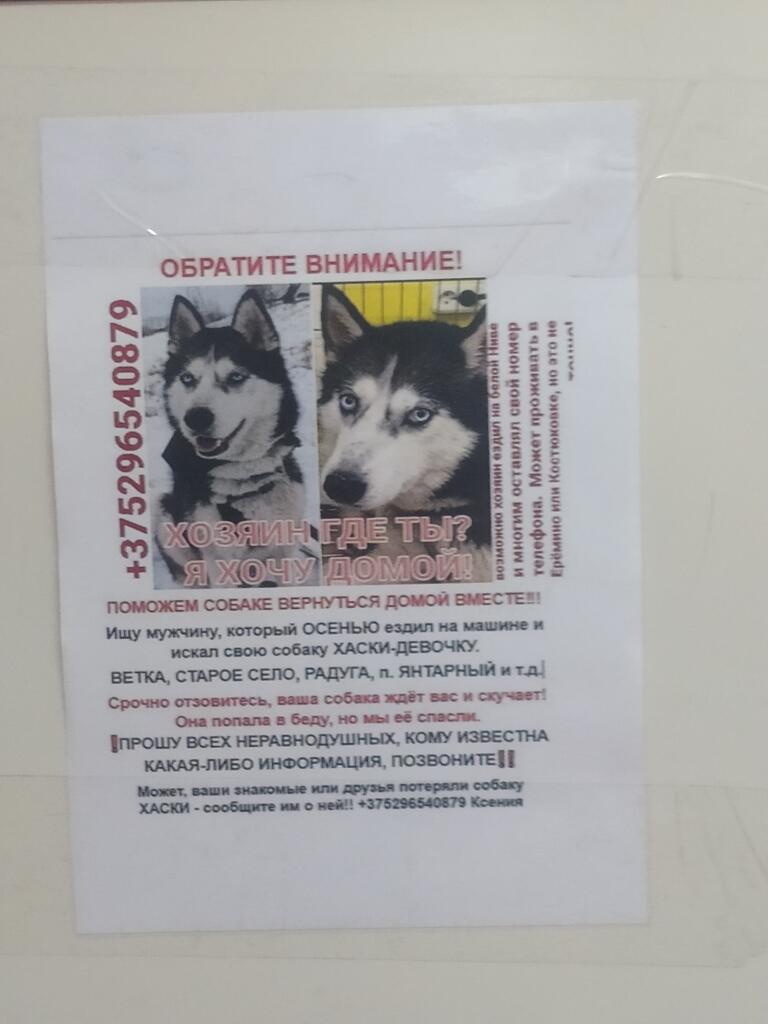 Распростроните