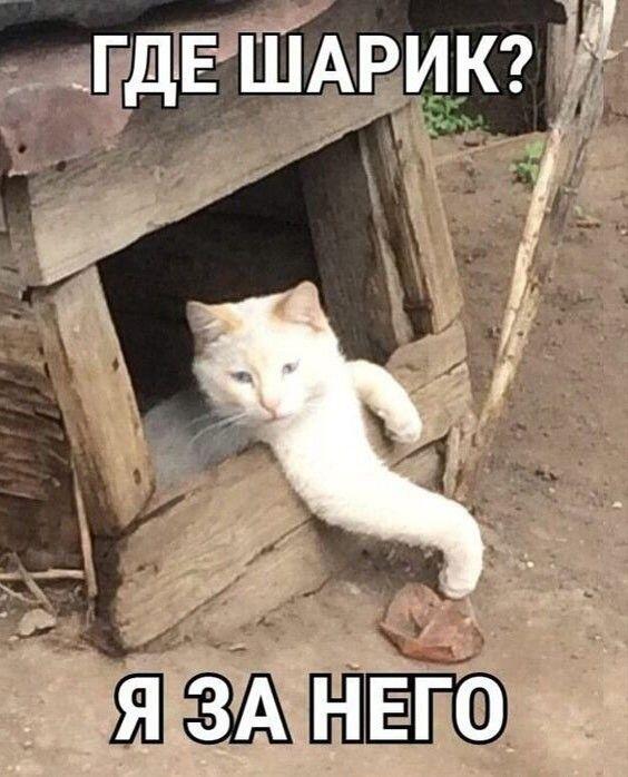 Мем от Ироник{ПЛМ}