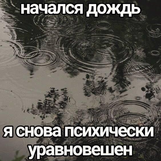 Дожди...
