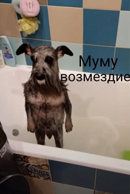 Мем от Qlla