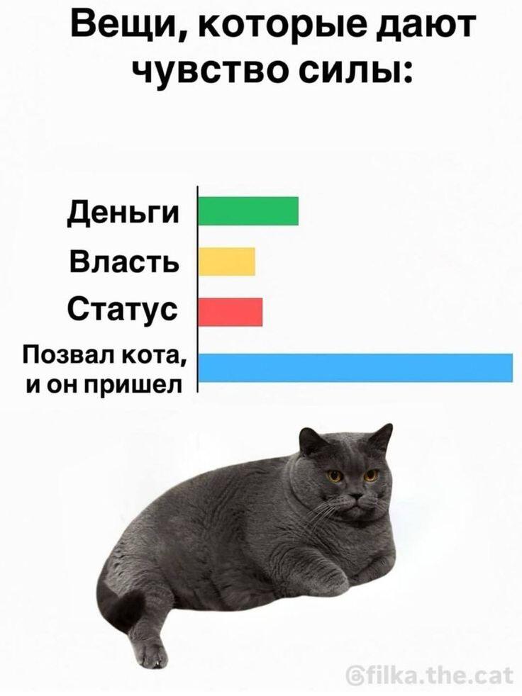 Мем без подписи