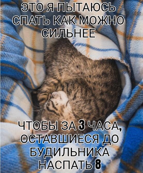 Кто хочет участвовать в мемных батлах (см в закрепе профиля), пишите,...