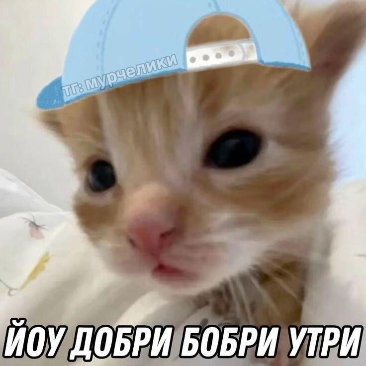 Доброе утро