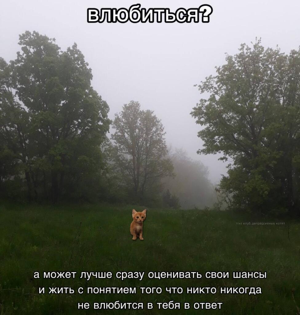 Да, я