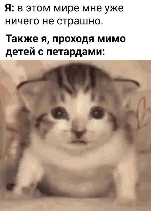 Мем от Мемный