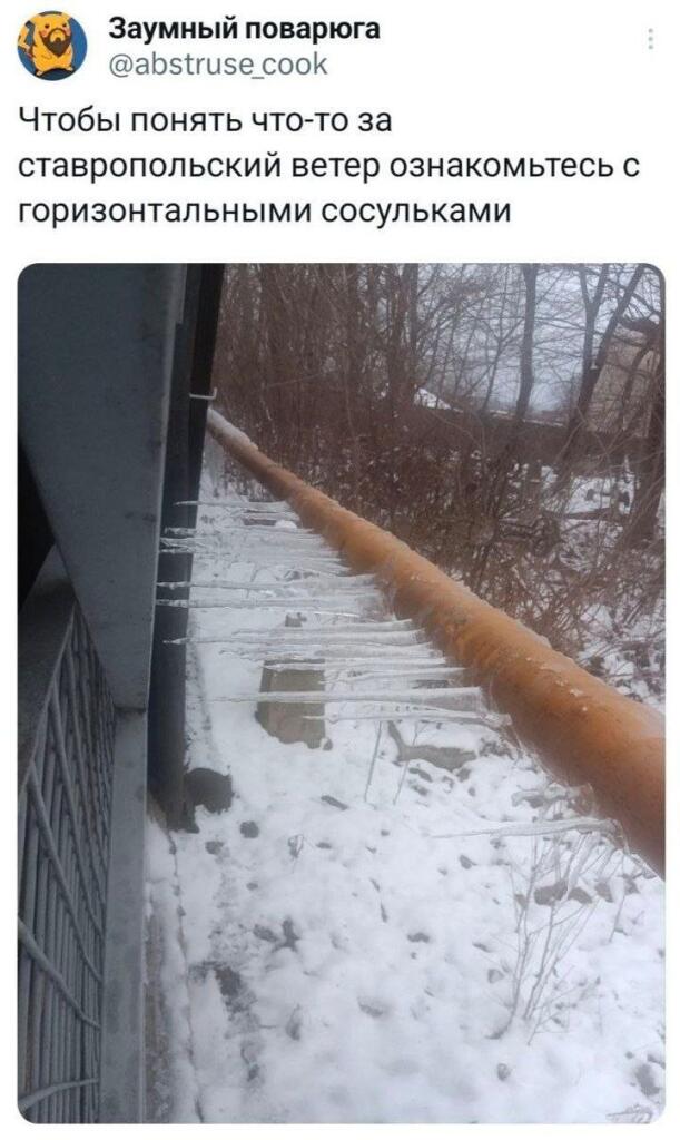 Мем от КотоУт