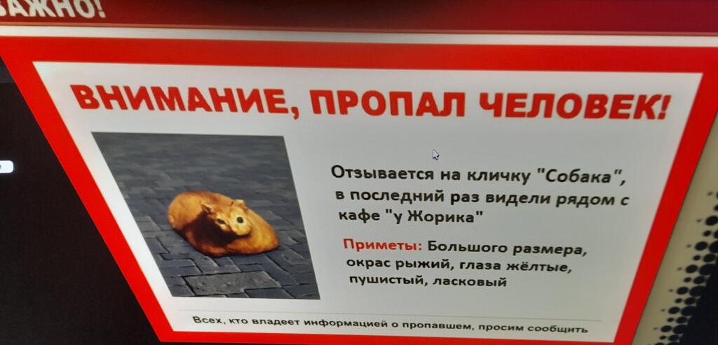 Ребят, никто не видел. В автобусе объявление висело.