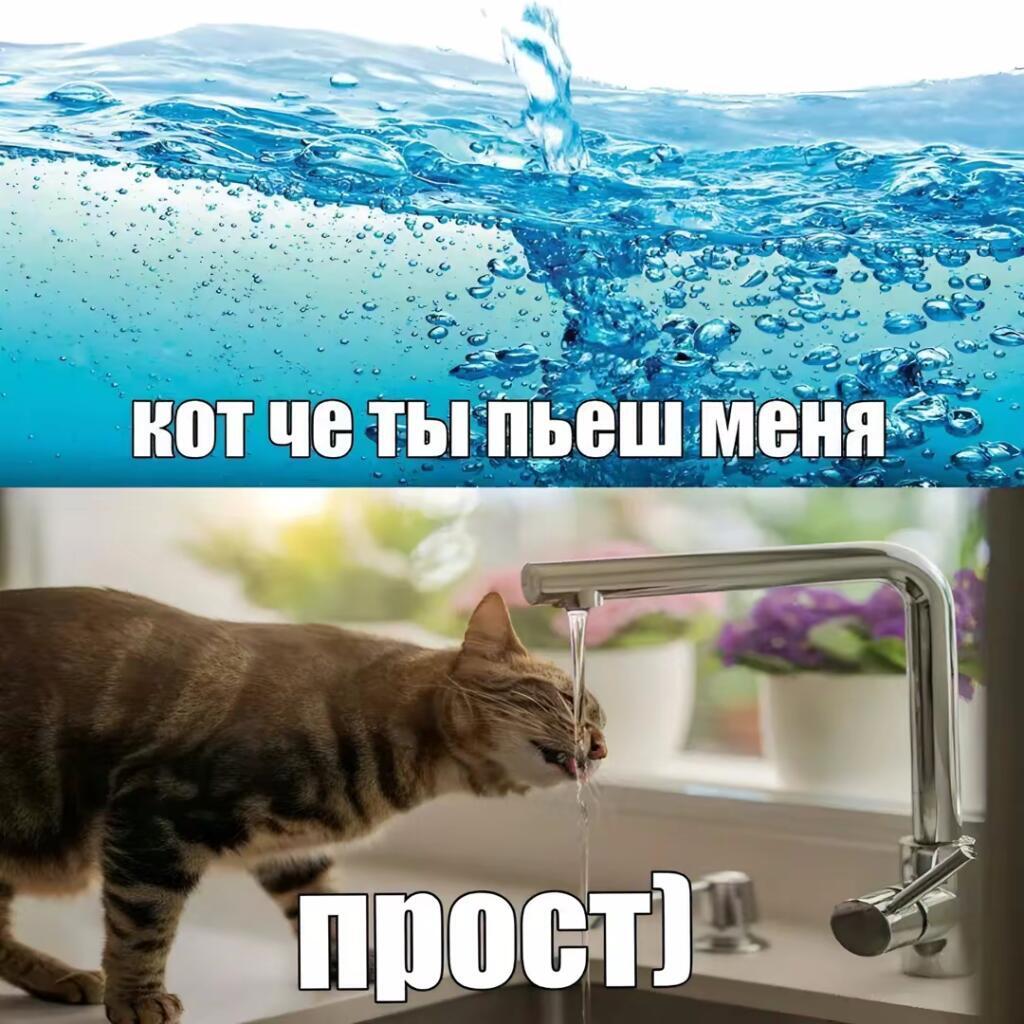 Мем от а