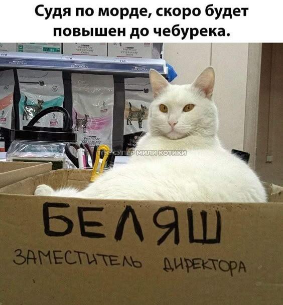 Мем без подписи