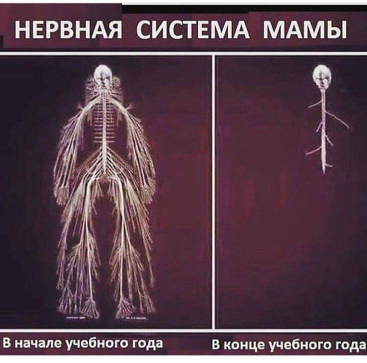 Мем от Ироник{ПЛМ}