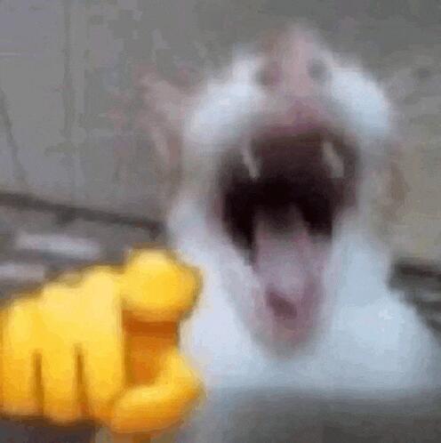 Pov: 1.exe(посмотрите прошлый пост, если не знаете):