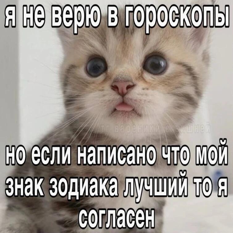 Мем без подписи