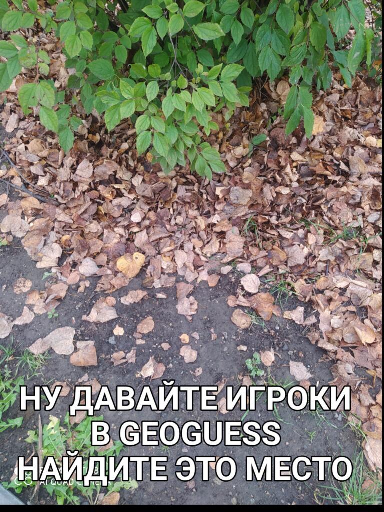 Мем от Ну я хз