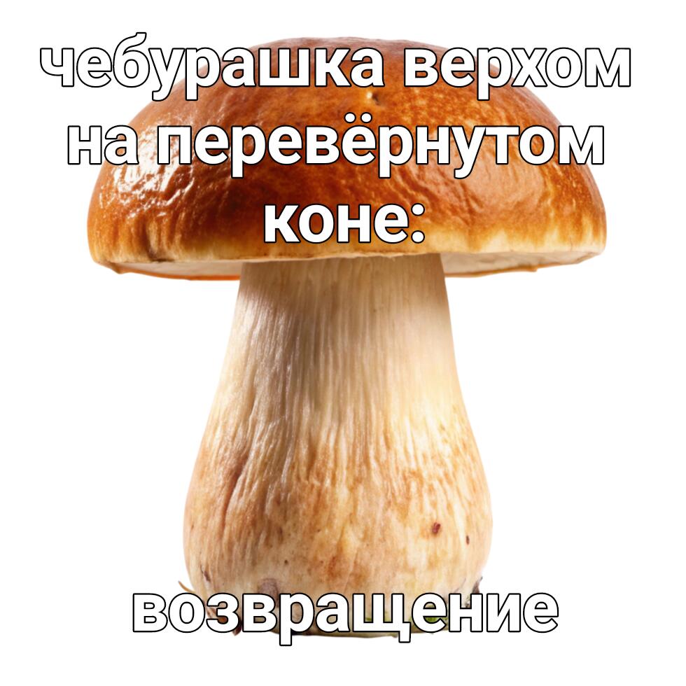 Когда приснилось продолжение сна из 2015: