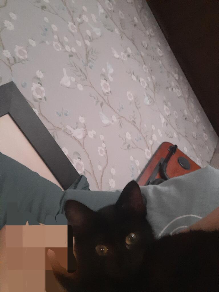 Мой Котя