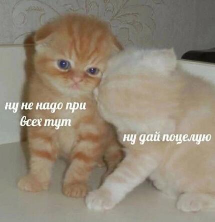 Мем от а