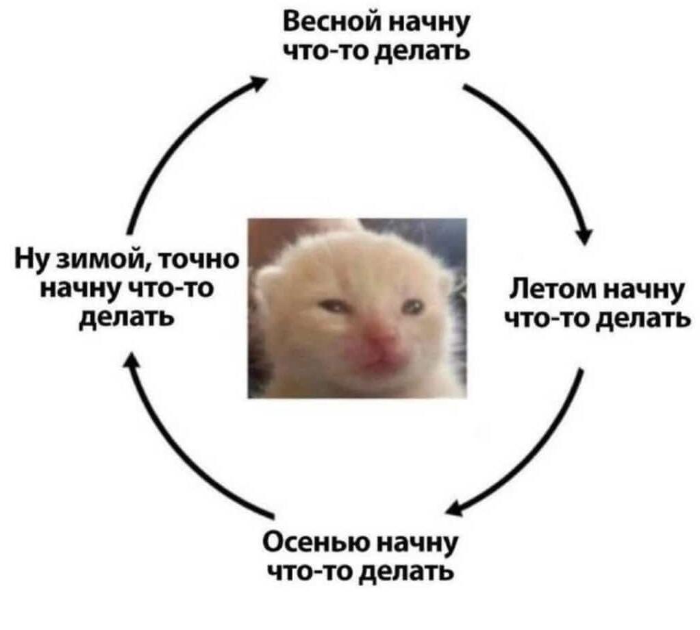 Жиза